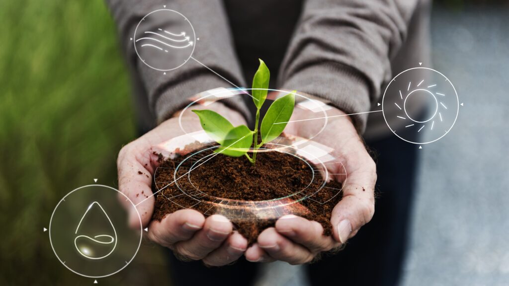Services - Agriculture & Environment